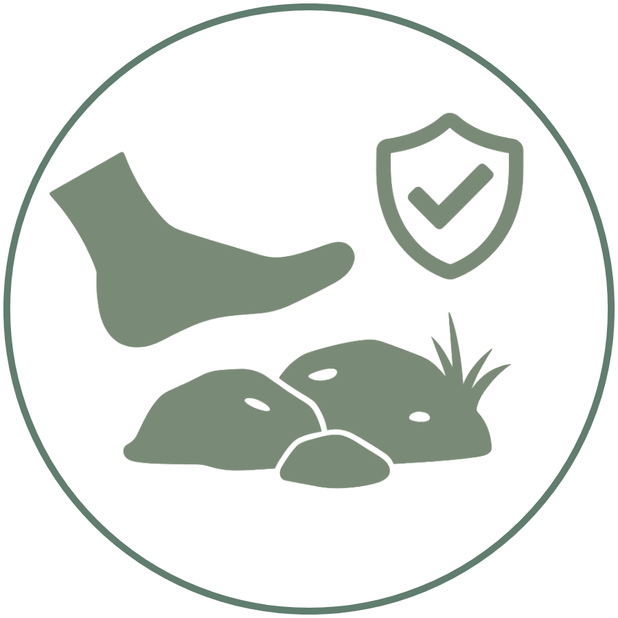 Alt Image